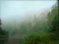 Mirkwood - Journey's End