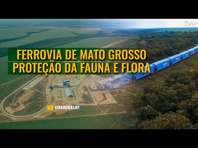 PRIMEIRA FASE SE DESTACA PELA PRESERVAÇÃO DA FAUNA E FLORA