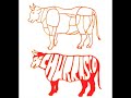 Juanito Broders - Churrasco