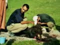 ait-souka ait-souka