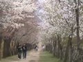 Yonsei Campus Tour