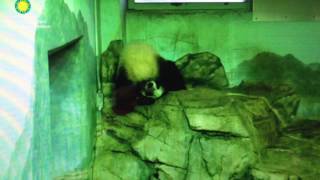 Smithsonian National Zoo