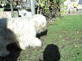Moje PONY