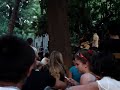 Mishima als jardins de la UB - 