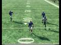 McGee intercepts McNabb