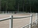 Carins M�hippa