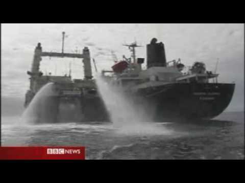 Greenpeace Mission Review Sea Shepherd Returns To Port. YouTube Preview Image