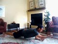 planks for the core and arms planks for the core and arms