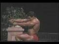 Superstar-Bodybuilde