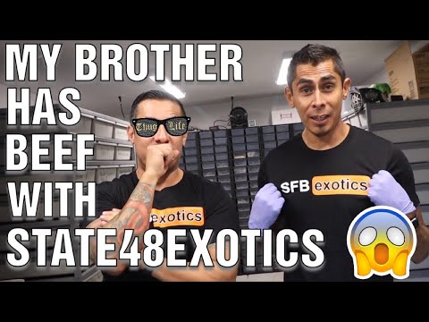 YouTube reptile video