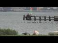 videos de PLAF - East River State Park