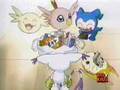 digimon-Demi-veemon,patamon,gatomon,Poromon and Upamon