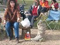 Halloween Wedding.wmv