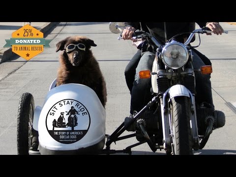 Sit Stay Ride