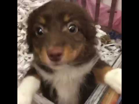 Alice is so sweet she is UTD with her vaccines