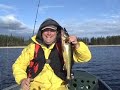 Peche au gouin Peche au gouin