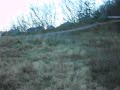 Fox at the Park_Parking Lot