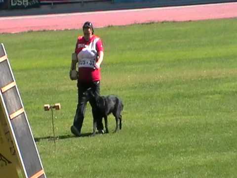 WUSV 2010 - B|-