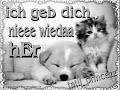 ScHaTz ¿ IcH kAnN nIcH mEhR oHnE dIcH... ScHaTz ¿ IcH kAnN nIcH mEhR oHnE dIcH...