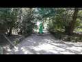 Vector the Crocodile - Walking & tail motion test #1