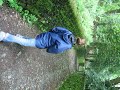lake district fencing