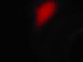 videos de Ghost in my School's bathroom