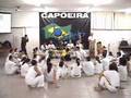 Ver Video