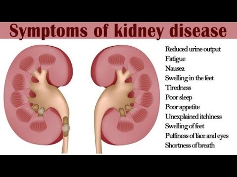 how to cure kidney disease