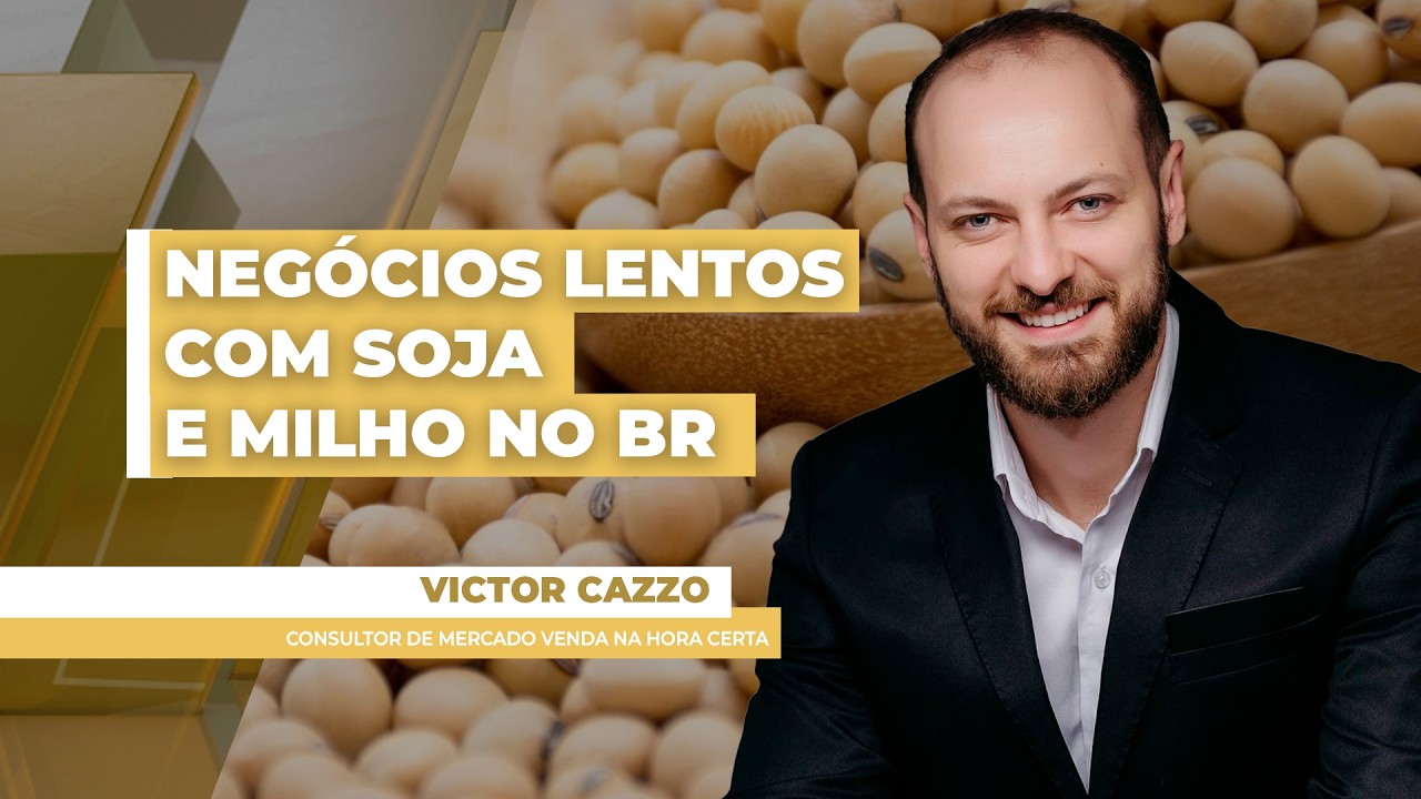 Soja & Milho: Brasil tem semana de preços, mais uma vez, lateralizados e poucos negócios