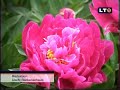 Linz, Botanical Gardens