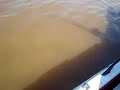pesca de palometa JUAN PABLO MIHURA