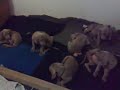 20112009101.mp4