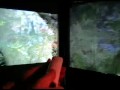Wiimote + Immersive 3D