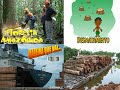 HELP! A FLORESTA AMAZ�NICA PEDE SOCORRO, ACORDA BRASIL!
