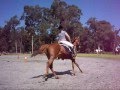 Me and my horse Ocky - newer video!