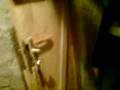 videos de lopovcina.3GP