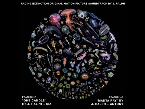 "Manta Ray" by J. Ralph & Anohni (F.K.A. Antony) - Original Song from Racing Extinction SNDTRK AUDIO