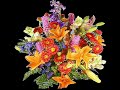diyemedim ?iiri  serdar �zdemir
