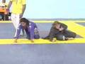 Adriana Martins x Hannette Quadros by X-COMBAT