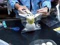 Handy Sealer Handy Sealer