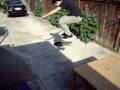 videos de Mike Garcia - Clean Tre Flip Off Ledge