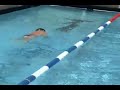 Finis Forearm Fulcrum