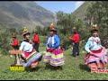 chimaycha huarcaya - Lucila Aguado
