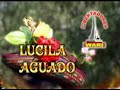 chimaycha huarcaya - Lucila Aguado