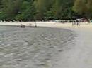 Kamala Beach Sivert 2
