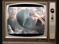 Panik feat Killerpilze performen Daylight