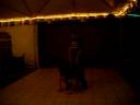 Heterosexual men acting gay!
