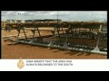 Interview: Sudan and South Sudan conflict