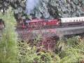 videos de Live Steam - Jubilee in Steam at G3 Event