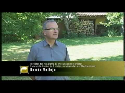 Imagen de previsualización de YouTube